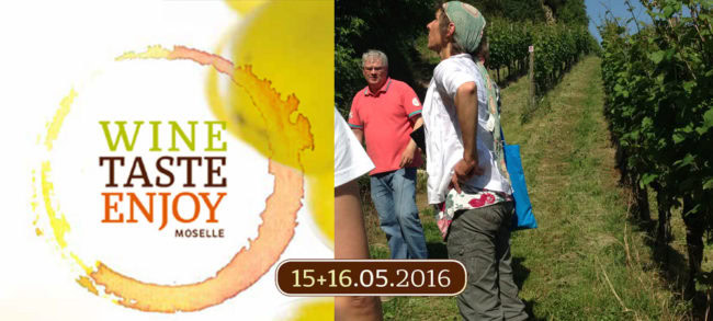 Wine Taste Enjoy, Weinwanderung Luxembrug Mosel