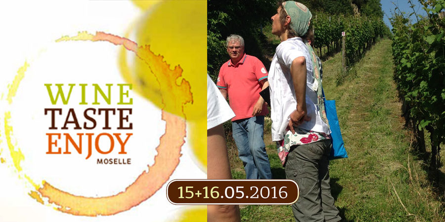 Wine Taste Enjoy, Weinwanderung Luxembrug Mosel