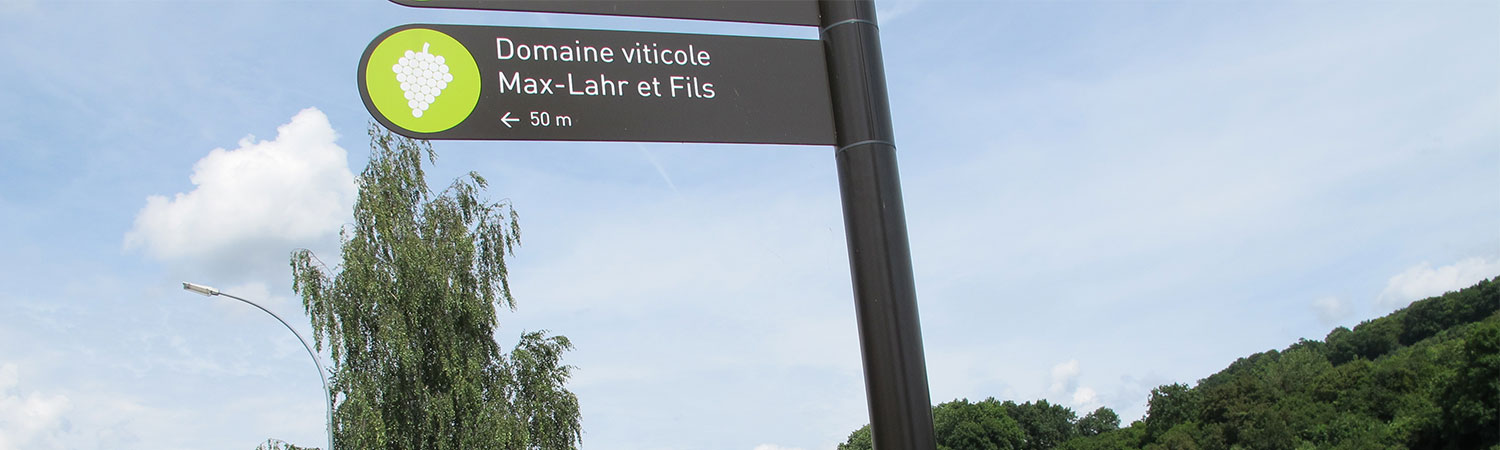 Wein aus Luxemburg, Mosel, Max-Lahr